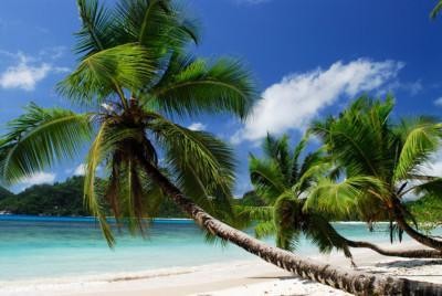 Asiakkaamme matkakertomus Mauritiukselta & Seychelleiltä
